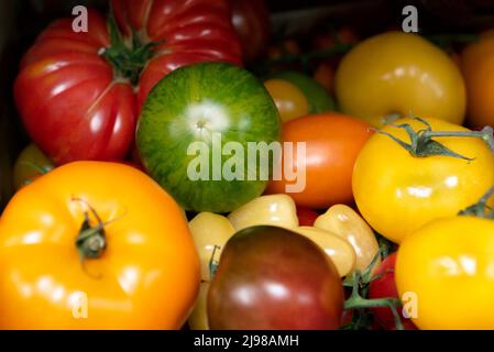 Auswahl an verschiedenen Sorten von Tomaten Stockfoto