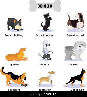 Hunde züchten farbige isolierte Icon Set Hunde führen einen Befehl aus Oder posieren Vektordarstellung Stock Vektor