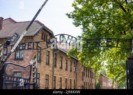 Haupttor zum Nazi-Konzentrationslager Auschwitz-Birkenau Stockfoto