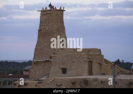 Herrlicher Blick auf die Sandsteinmauern und die antike Festung eines alten Shali-Bergdorfes in der Oase Siwa, Ägypten Stockfoto