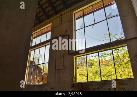 Lost Place, Halle, Lager, verlassen, aufgenommen, Tür, Fenster, Efeu, wachsen, verwildert, Schutt, Müll, Fenster, Fensterscheiben, Schmutz, Broche Stockfoto