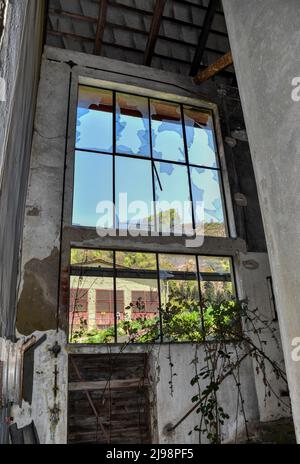 Lost Place, Halle, Lager, verlassen, aufgenommen, Tür, Fenster, Efeu, wachsen, verwildert, Schutt, Müll, Fenster, Fensterscheiben, Schmutz, Broche Stockfoto