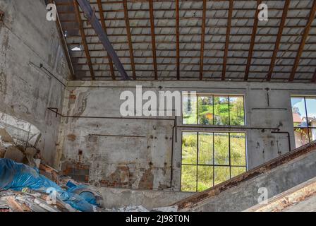 Lost Place, Halle, Lager, verlassen, aufgenommen, Tür, Fenster, Efeu, wachsen, verwildert, Schutt, Müll, Fenster, Fensterscheiben, Schmutz, Broche Stockfoto