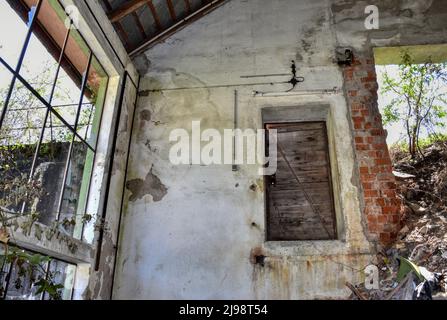 Lost Place, Halle, Lager, verlassen, aufgenommen, Tür, Fenster, Efeu, wachsen, verwildert, Schutt, Müll, Fenster, Fensterscheiben, Schmutz, Broche Stockfoto