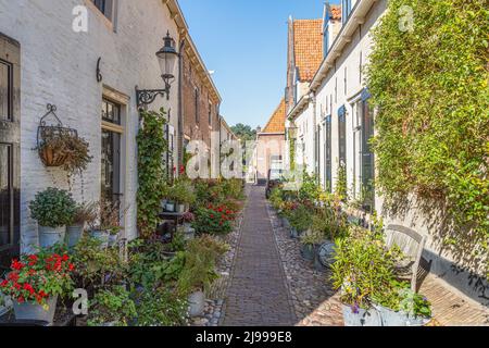 Kleine Straße mit alten kleinen und authentischen Häusern und Blumen im Zentrum von Elburg in den Niederlanden. Stockfoto