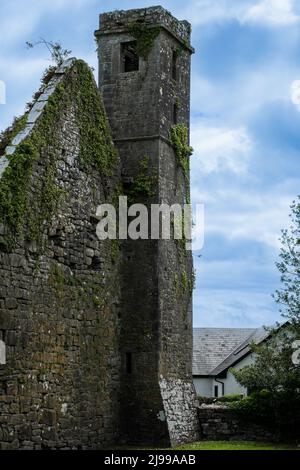 Quin eine malerische Stadt in der Region Shannon mit den Ruinen eines historischen Klosters, Quin, Irland, Mai 21,2022 Stockfoto