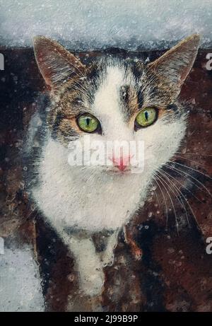 Katzenporträt malen. Nahaufnahme von Kätzchen im Freien, die vor Schnee geschützt sind. Schönes kittiges Gesicht, wunderbare Augen. Haustier draußen, schneit Wintersaison Szene Stockfoto