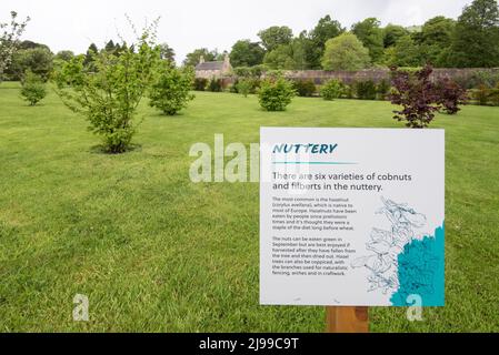 The Nuttery im ummauerten Garten von Culzean Castle & Country Park in Dumfries & Galloway Maybole, Carrick, an der schottischen Küste von Ayrshire Stockfoto