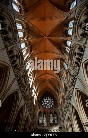 Truro Cathedral Stockfoto