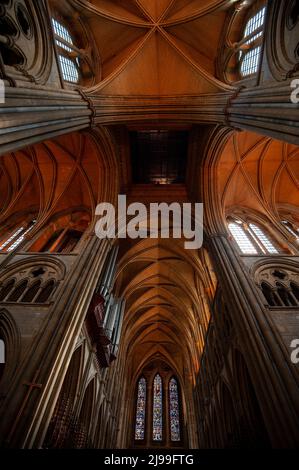 Truro Cathedral Stockfoto
