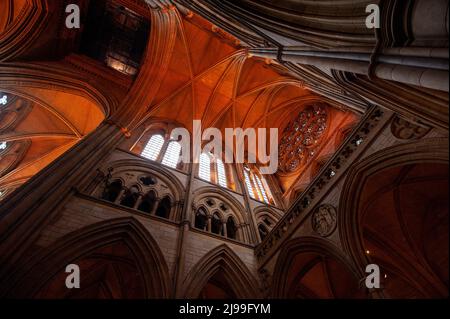 Truro Cathedral Stockfoto