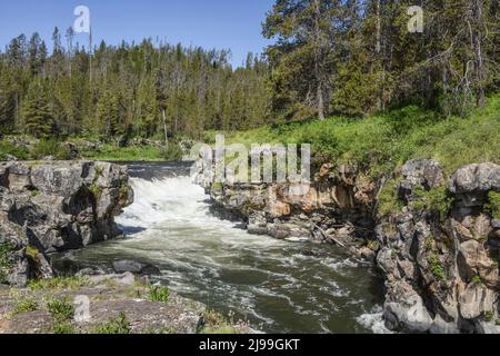 Sheep Falls auf Henrys Fork of Snake River, wild, landschaftlich, Wildwasser, Island Park, Fremont County, Idaho, USA Stockfoto