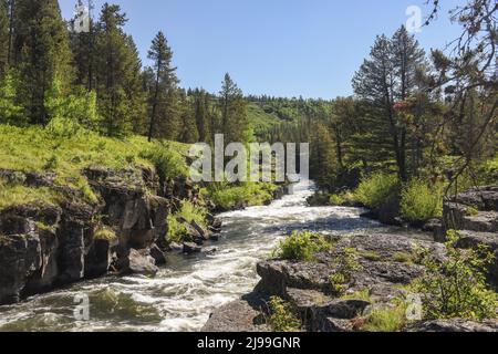 Sheep Falls auf Henrys Fork of Snake River, wild, landschaftlich, Wildwasser, Island Park, Fremont County, Idaho, USA Stockfoto