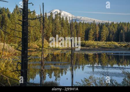 Schneebedeckter Sawtell Peak und Reflexionen im Elchbach-Teich, Herbst, Island Park, Fremont County, Idaho, USA Stockfoto