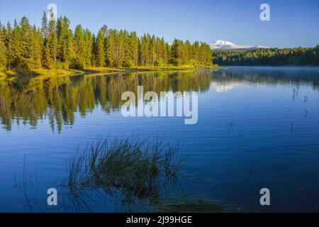 Der schneebedeckte Sawtell Peak steht im Herbst über der Henry's Fork of Snake River, im McCrea Bridge-Gebiet, Island Park, Fremont County, Idaho, USA Stockfoto