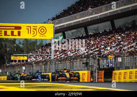 Barcelona, Spanien. 21.. Mai 2022 : LANDO NORRIS (GBR) vom Team McLaren, FERNANDO ALONSO (ESP) vom Team Alpine und LEWIS HAMILTON (GBR) vom Team Mercedes fahren während des Qualifyings des spanischen GP auf dem Circuit de Catalunya Credit: Matthias Oesterle/Alamy Live News Stockfoto