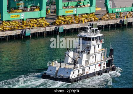 Containerkrane, Hafen von Los Angeles, San Pedro, Kalifornien, USA Stockfoto