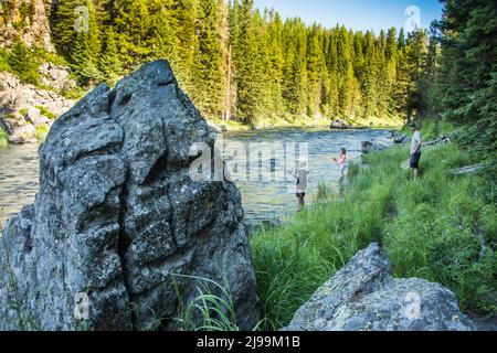 Ein Vater hilft seinen Kindern auf der Henry's Fork of the Snake River, Island Park, Fremont County, Idaho, USA, Forellen zu fischen Stockfoto