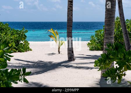 Das Paradies auf einer tropischen Insel Stockfoto