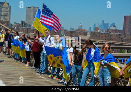 New York, Usa. 21.. Mai 2022. Am 21. Mai 2022 werden Teilnehmer der Menschenkette mit ukrainischer Flagge auf der Brooklyn Bridge, New York City, gesehen. Quelle: Pacific Press Media Production Corp./Alamy Live News Stockfoto