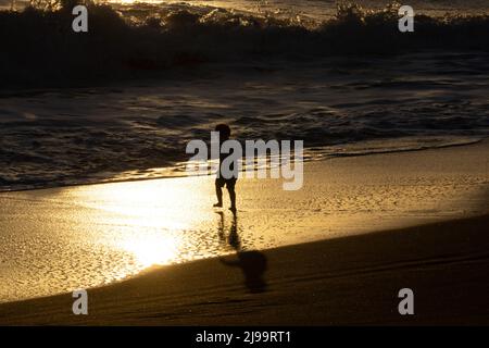 Whanganui Neuseeland - April 9 2022; unkenntlich Junge Person am Wasserrand am Surfstrand in Silhouette, die vom Sonnenuntergang beleuchtet wird Stockfoto