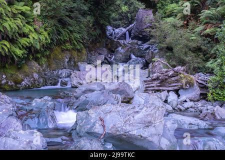 Der kleine Bach, der sauberes Wasser fließt, stürzt über felsiges Gelände vom natürlichen grünen Busch entlang des Hollyford Track in Fiordland, Neuseeland. Stockfoto