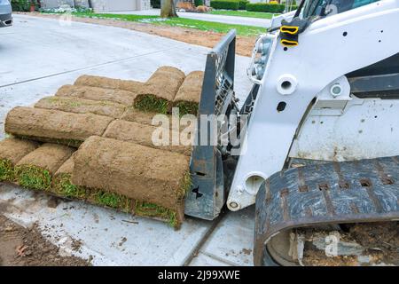 Grünes frisches Sod Gras in Rollen für Rasen und Designer Landschaft in einer Rolle auf Paletten Stockfoto