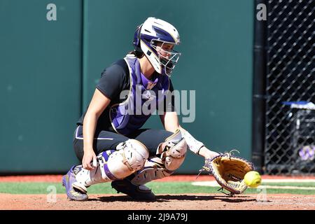 Seattle, WA, USA. 21.. Mai 2022. Washington Catcher Jenn Cummings während des regionalen NCAA-Softballspiels zwischen den Texas Longhorns und den Washington Huskies im Husky Softball Stadium in Seattle, WA. Texas besiegte Washington 8 - 2. Steve Faber/CSM/Alamy Live News Stockfoto