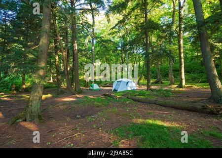 Ruhiger Campingplatz in den North Woods am Mountain Lake in der Sylvania Wilderness in Michigan Stockfoto