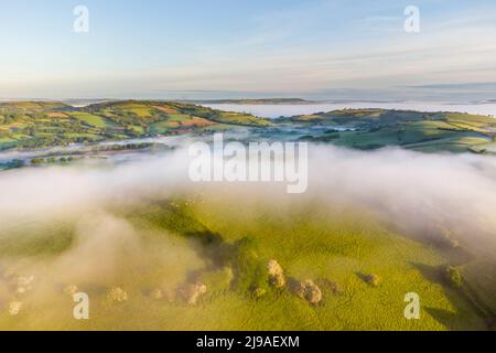 Bridport, Dorset, Großbritannien. 22. Mai 2022. Wetter in Großbritannien. Kurz nach Sonnenaufgang hängt Nebel über den Hügeln und in den Tälern bei Bridport in Dorset. Bildnachweis: Graham Hunt/Alamy Live News Stockfoto