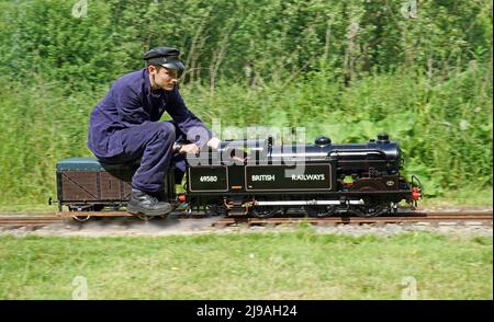 Maßstab Arbeitsmodell BR British Railways Dampflokomotive Klasse N2 69580 läuft auf Schiene. Stockfoto