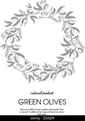 Zweige Olive Hintergrund. Skizze. Handzeichnung. Designkonzept. Vektorgrafik eps10 enthält Transparentfolien. Stock Vektor