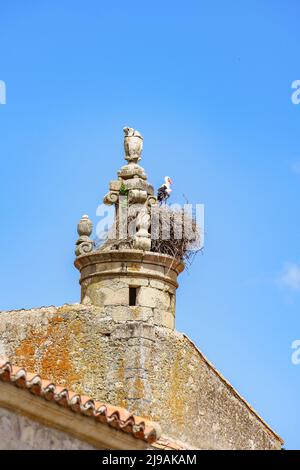 Ein Storch ruht in seinem Nest auf einem Steinturm in Trujillo, Caceres, Spanien Stockfoto