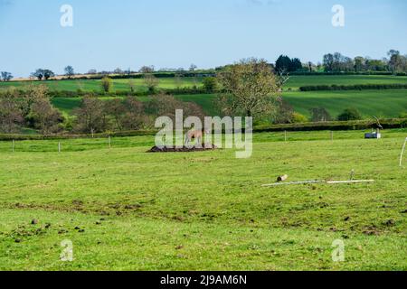 Englische Landschaft im Dorf Weissendine in Rutland, England Stockfoto