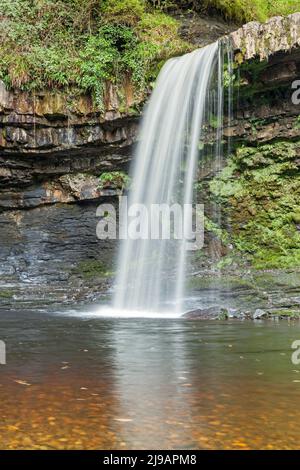 Sgwd Gwladus (Lady fällt) auf dem Fluss, in der Nähe von Pontneddfechan Pyrddin, Brecon Beacons National Park, South Wales, Großbritannien Stockfoto