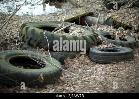 Alte Reifen auf Deponien. Illegale Freisetzung von Abfällen in den Wald. Schlechter Gummi liegt auf dem Boden. Gebrauchte Räder. Stockfoto