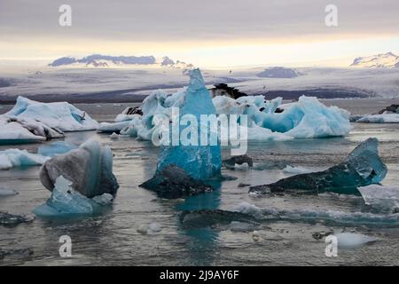 Eisberge schwimmen im Jökulsárlón Gletschersee, Vatnajökull Nationalpark, Island Stockfoto