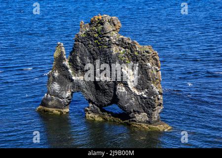 Hvitserkur Basaltfelsen-Meeresstapel entlang der östlichen Küste der Halbinsel Vatnsnes, Nordwestisland Stockfoto