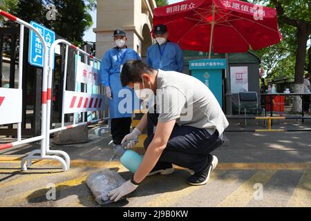 (220522) -- PEKING, 22. Mai 2022 (Xinhua) -- Mei Xiaodong arrangiert und desinfiziert die Medizin, die von Bewohnern einer Gemeinde im Chaoyang Bezirk in Peking, der Hauptstadt Chinas, bestellt wurde, 21. Mai 2022. Mei Xiaodong, 35, ist Regierungsangestellter des Bezirks Chaoyang in Peking. Mei wurde entsandt, um sich der Arbeit des Frontpersonals in einer Gemeinde im Kampf gegen COVID-19 anzuschließen und den Bewohnern unter Quarantäne zu helfen, Medikamente für chronische Krankheiten zu kaufen. Gemeindemitarbeiter, Ärzte und Freiwillige tragen die Verantwortung für die Beurteilung, den Kauf und die Lieferung von Medikamenten, die von den Bewohnern über W bestellt wurden Stockfoto