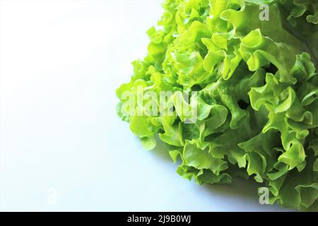 Nahaufnahme Salatgemüse Foto Isolieren auf weißer Vorderansicht Kopierfläche Stockfoto
