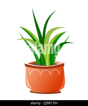 Aloe Zimmerpflanzen und Blumen. In Keramiktöpfen. Hausgemachte schöne Kräuter. Isoliert auf weißem Hintergrund. Witziger Cartoon-Style. Vektor. Stock Vektor