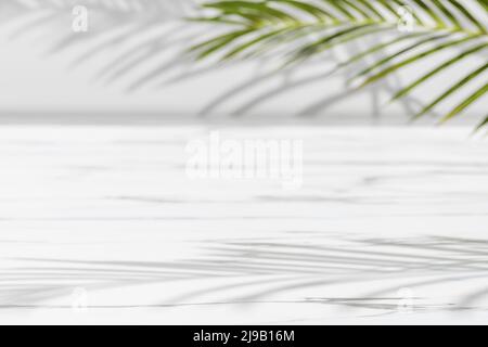 Hintergrund für die Produktpräsentation. Neutrales tropisches Palmenmockup vor hellem Hintergrund. Ausstellung weißes Podium auf weißem Hintergrund mit Palmblättern und Stockfoto