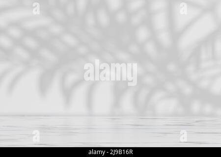 Schatten aus Palmblättern an weißen Wänden und Böden. Abstrakter Hintergrund von Schatten Palmen Blätter für kreative Sommer-Mock-up. Neutraler tropischer Palmenmockup auf Lig Stockfoto