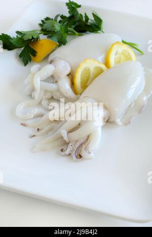 Zwei frische Tintenfische mit Zitrone und Kräutern, die auf weißem Hintergrund zubereitet werden. Frische Meeresfrüchte. Direkt darüber. Stockfoto