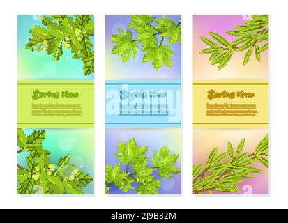 Helle bunte Frühling Kollektion von vertikalen Bannern mit Oliveneiche Und Ahornzweige bei Sonnenblendung Hintergrund flache Vektor-Illustration Stock Vektor