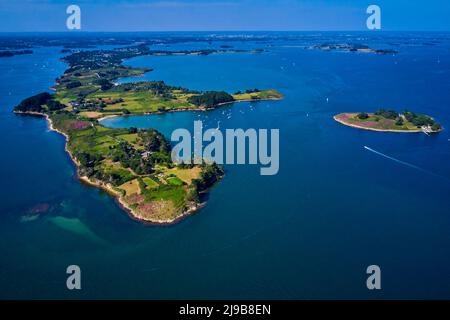 Frankreich, Morbihan, Golf von Morbihan, Ile Aux Moines Stockfoto