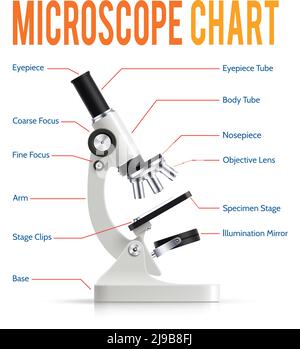 Moderne elektronische leistungsstarke Labormikroskop Teile Infografik Präsentation Chart mit Realistische Darstellung des Vektorgrafikes der Seitenansicht des Instruments Stock Vektor