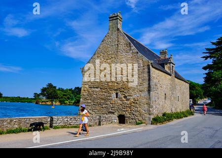 Frankreich, Morbihan (56), Golf von Morbihan, regionaler Naturpark des Golfs von Morbihan, Presqu'ile de Rhuys, Pen Castel Mill Stockfoto