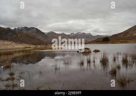 Fotografieren Sie am Lochside mit ruhigen, ruhigen Gewässern und Bergen dahinter, aufgenommen in Loch Cluaniie, Glen Shiel, Schottland, Großbritannien Stockfoto