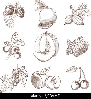 Dekorative Symbole Set von Hand gezeichneten Beeren und Früchte in Isolierte Vektorgrafik im Retro-Stil Stock Vektor